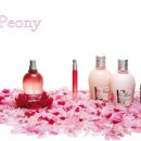피어니(PEONY)