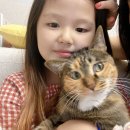 부타웅 네이버블로그