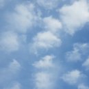 파도농장 이미지