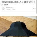 미친 갑자기 비와서 다이소가서 검정색 장우산 하나 샀는데.jpg 이미지