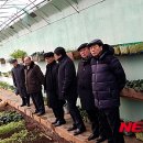 협동농장 이미지