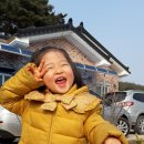 정암유치원 이미지