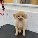 올치유치원 이미지