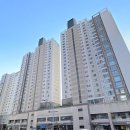 비산화성파크드림 | 안양도배 비산동 비산화성파크드림 아파트 실크 부분도배 현장