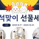 요가와필라테스 이미지