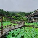 이국적인 분위기의 국내 여행지 이미지