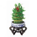 (주)우신식품 이미지