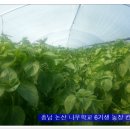 번성농장 이미지