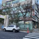 플레르비플라워