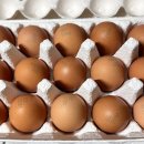 재영농장 이미지