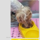 원러브동물의료센터 이미지