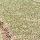 집&땅공인중개사사무소 이미지