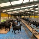 숲깊은 농장 이미지