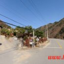 평창강펜션2 이미지