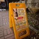 율전로63번길 | 수원브런치카페 카페쓰리몽키즈 도심속 불멍카페 추천