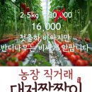 카페달콤나무