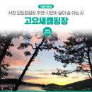 고요새캠핑장 이미지