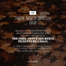 바이유헤어