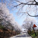 한산1리마을회관 이미지