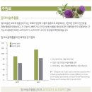 뉴포뮬러
