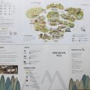 느티나무 할아버지 | 화담숲 예약, 단풍시기, 맛집, 주차, 리조트, 실시간, 화담숲 근처 맛집