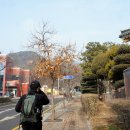 시청길 이미지