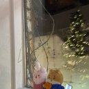 이제 경주 이미지