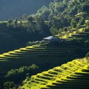 영화아이닉스경로당 이미지