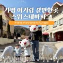 하이디상점 | 가평 아기랑 갈만한 곳 스위스마을 에델바이스 테마파크 (입장료 할인 꿀팁)
