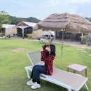 워시Q&Cafe | [화성 제부도 숙소]슈필라움 글램핑장 수영장, 가격, 바닷길 통행시간 정보