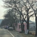 즐거운 상상 - R | R.10.[고령/딸기거리] 내돈내산 고령딸기 52소 도익농장