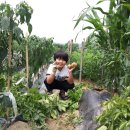 김현준농장 이미지