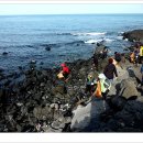 동복환해장성 이미지