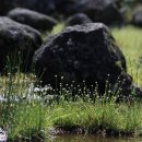 곡정초등학교 이미지