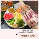 바다나루 | 마곡나루 횟집 바다로간호랑이 후기｜숙성회 모듬회 회식장소 추천