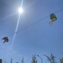 행운을 가져다주는 위빙 드림캐쳐 만들기 | 4월엔 불교에 미쳐보는거야!!!조계사 체험과 춤 연습 편 - [LLF(연등회) 서포터즈]