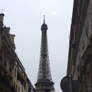친구가 보내준 에펠탑 사진인데요 이미지