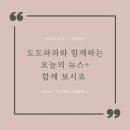 도도파파