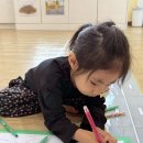 ＜5월 3주＞ 가족그림그려요 &amp; 캐치볼스쿱 &amp; 교통안전교육 이미지