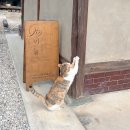 다기쁨카페 이미지