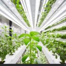 강소농장 이미지