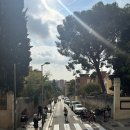 원두casa (까사) | BCN 2-3 (terra mia 구엘공원 맛집, 까사비센스, chromatic 카페, 그라시아 지구, 바르셀로나 카페 추천)