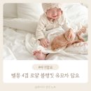 감성 육아템 추천, 앙팡토토 벨몽 4겹 로열 아기 블랭킷 유모차 담요