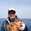 타이시즌 이미지