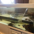 미2사단 정문 주차장 이미지