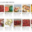 경하청과 - 춘천시 영서로 2352-16 | 경하청과
