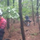 칠보산숲길 이미지