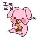 장원사주
