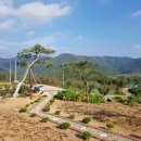 하이마로 이미지