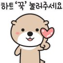 거금아일랜드 이미지